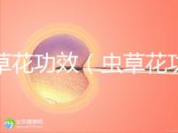 蟲草花功效（蟲草花功效作用與主治功能）