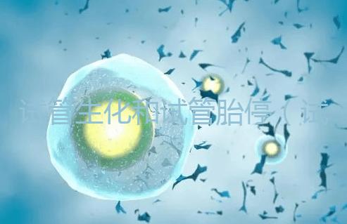 試管生化和試管胎停（試管生化和試管胎停的區別）