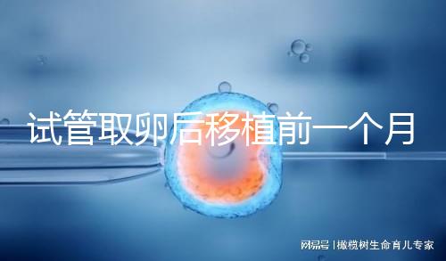 試管取卵后移植前一個月牙痛，可以去拔牙嗎？