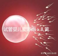 試管嬰兒竇卵泡＞8,黃體期促排方案能否助孕多囊卵巢