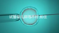 試管嬰兒卵泡不好,前往泰國助孕?相因告訴你這辦法靠譜