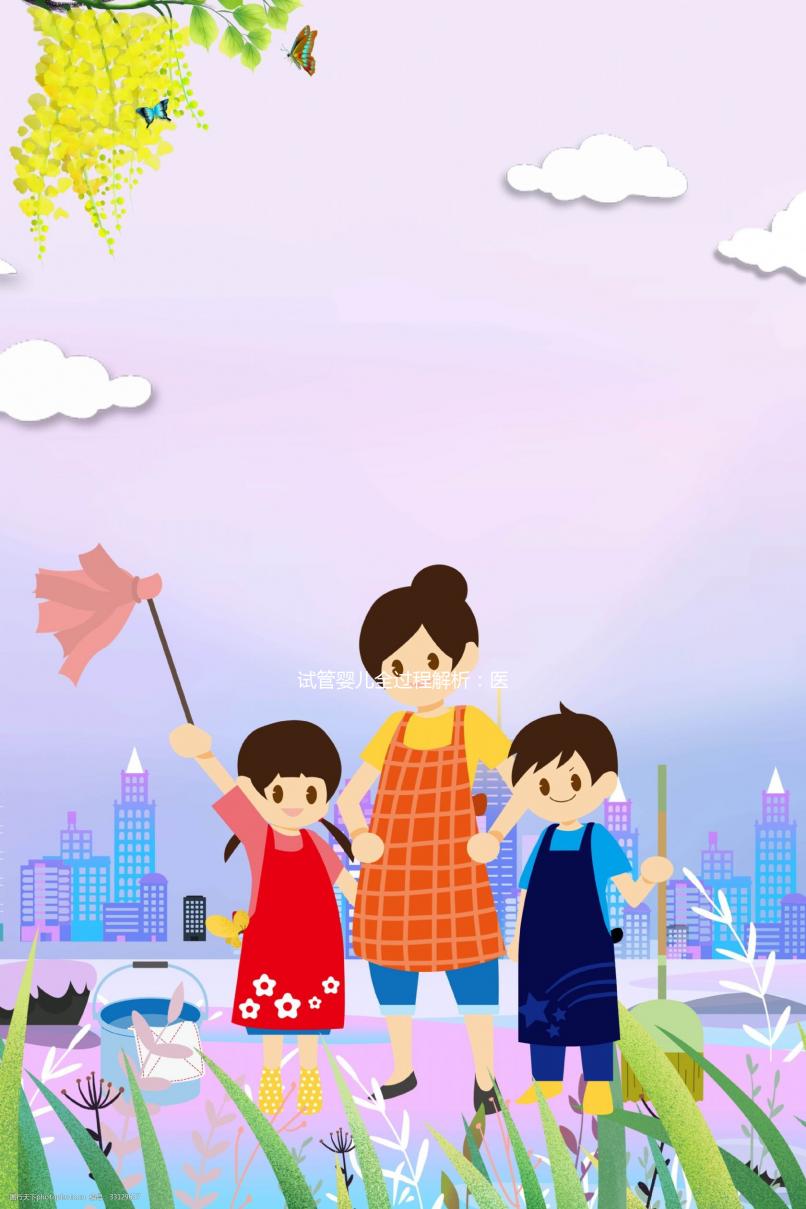 試管嬰兒全過(guò)程解析:醫(yī)院費(fèi)用及步驟詳解