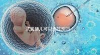 試管嬰兒可以選性別嗎（試管嬰兒可以選性別嗎？）