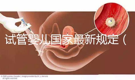 試管嬰兒國家最新規定(試管嬰兒國家最新規定能放幾個)