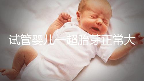 試管嬰兒一超胎芽正常大小不超這個數(shù),2mm不一定會胎停