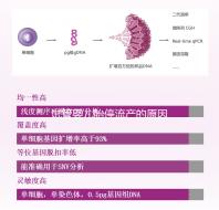 試管嬰兒胎停流產的原因剖析，胎停育與胎停孕大不同