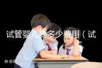 試管嬰兒要多少費(fèi)用（試管嬰兒要多少費(fèi)用才能成功）