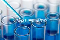試管嬰兒費(fèi)用是多少