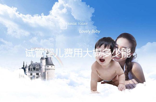 試管嬰兒費(fèi)用大概多少能出來報(bào)銷(試管嬰兒費(fèi)用大概多少能出來報(bào)銷醫(yī)保)