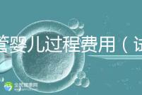 試管嬰兒過程費用（試管嬰兒全過程費用）