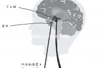 試管嬰兒5個(gè)月流產(chǎn)原因有三,多久能再次移植需慎重考慮