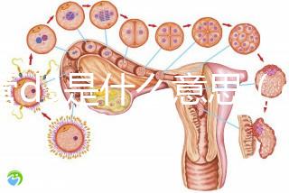 試管d3是什么意思（d3凍胚是優(yōu)胚嗎）