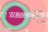 賺了！雙胞胎做三維彩超檢查報告不僅準確，還拒絕雙收費