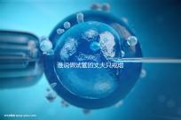 誰說做試管的丈夫只戒煙十天沒有影響，前一天晚上抽煙或者很難移植？