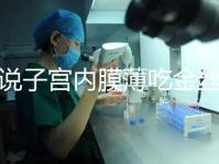 誰(shuí)說子宮內(nèi)膜薄吃金絲燕窩沒有用,長(zhǎng)內(nèi)膜、增加卵泡還有…