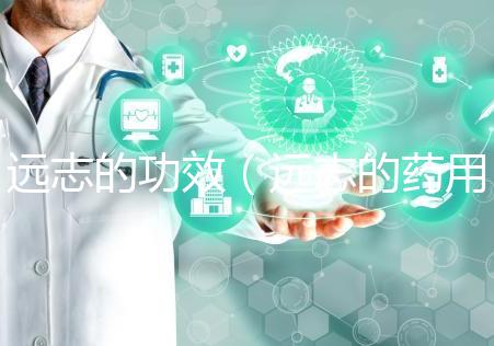 遠(yuǎn)志的功效(遠(yuǎn)志的藥用價(jià)值)