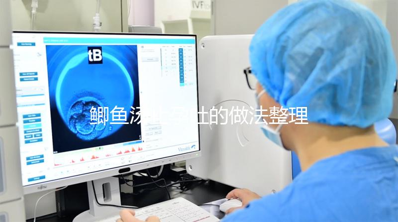 鯽魚湯止孕吐的做法整理，加砂仁、豆腐一星期喝幾次很有用
