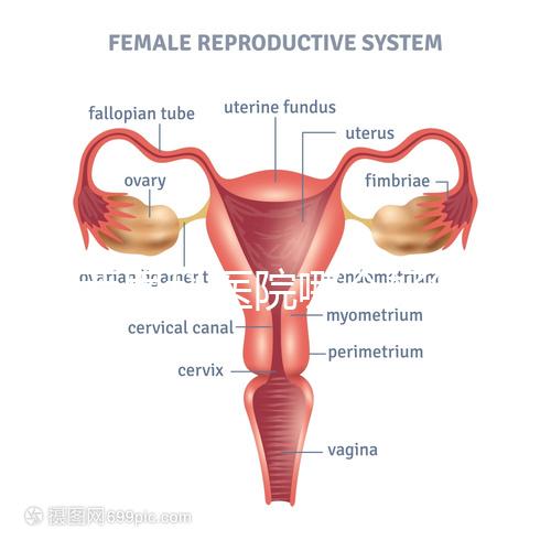 雞西男科醫(yī)院哪個好答案在這里?公立和私立各有優(yōu)勢