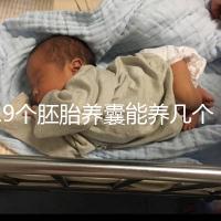 19個胚胎養(yǎng)囊能養(yǎng)幾個真難說，質量好都成功了也屬正常