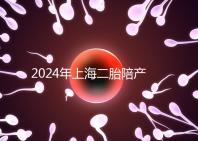 2024年上海二胎陪產假新規定，浦東10天或15天