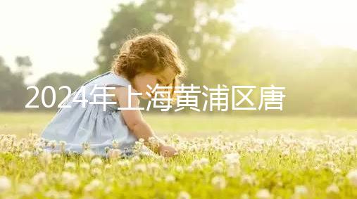 2024年上海黃浦區(qū)唐篩檢查費(fèi)用不高找到合適的預(yù)約渠道可以免費(fèi)