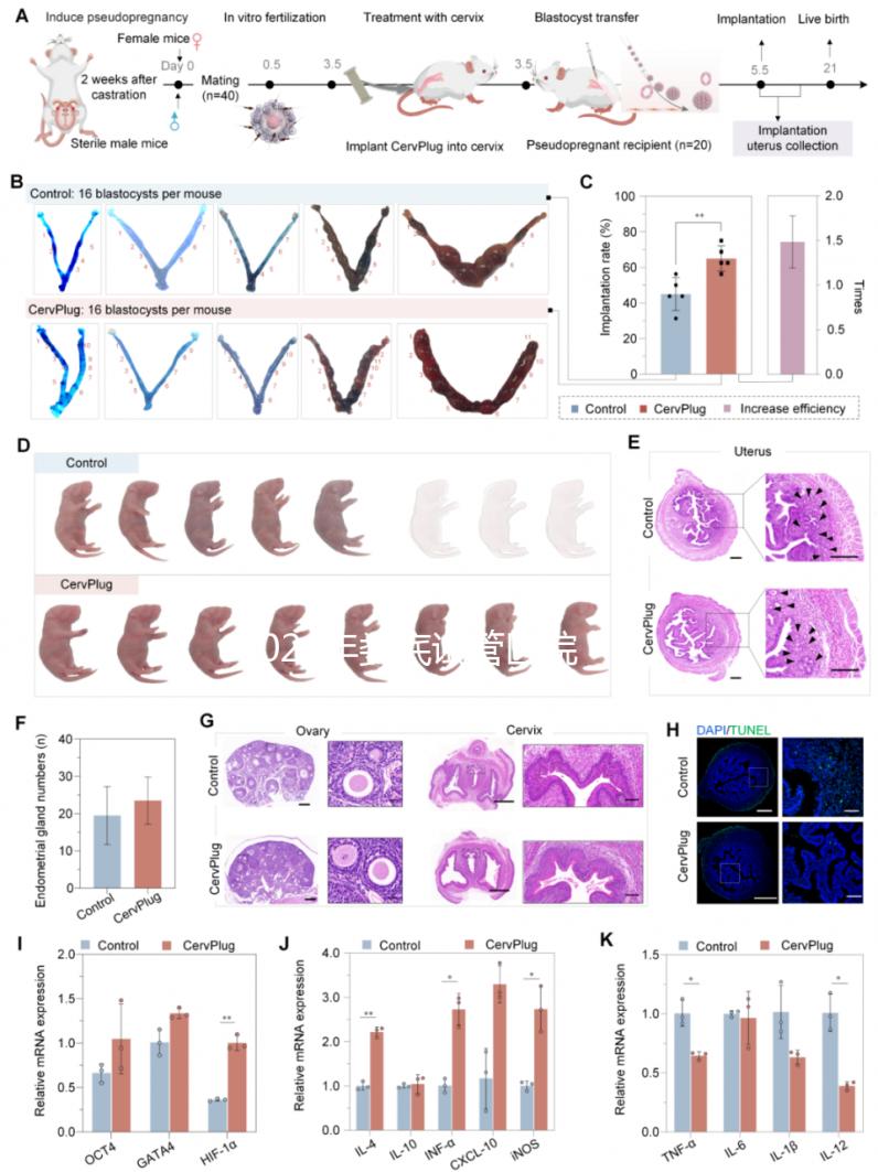 2024年婁底試管醫院排名來襲！成功率最高的生殖中心是..
