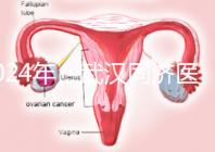 2024年，武漢同濟醫院不孕癥醫生排名公布，選擇專家迅速登記