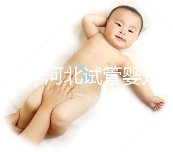 2024年河北試管嬰兒費用可以報銷嗎？補(bǔ)貼金額真的那么大？