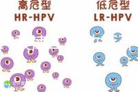 2024天津二胎政策開放，分析最新政策信息