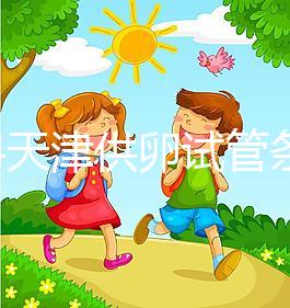 2024天津供卵試管條件一覽，滿足4點(diǎn)要求可直接進(jìn)周