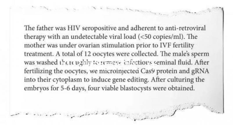 2023屬相鼠結(jié)婚、伴娘忌什么屬相答案在這，96年的要注意