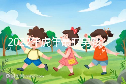 2022年虎年最旺男孩名字,好聽稀少又吉利不二之選