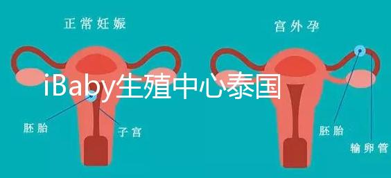 iBaby生殖中心泰國地理位置